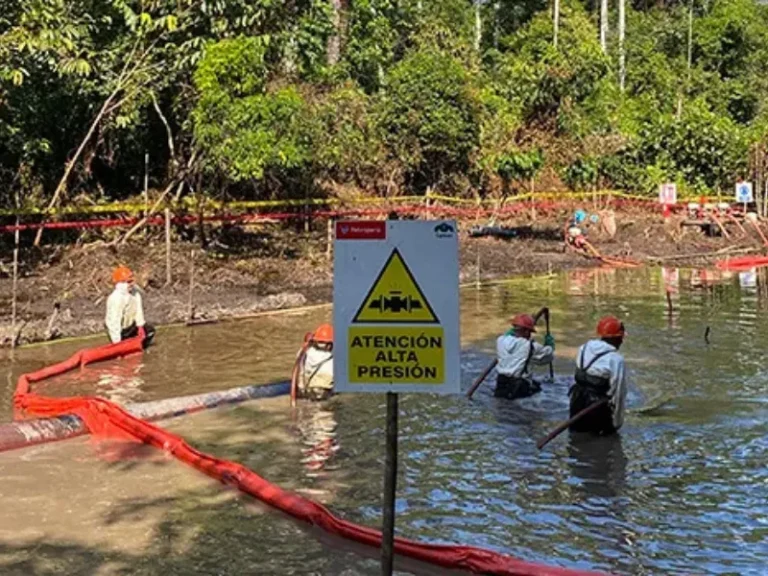 Experiencia Remediacion Ambiental